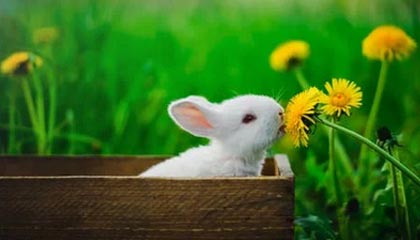 《障目 / Cling to Blindness》现已发售！